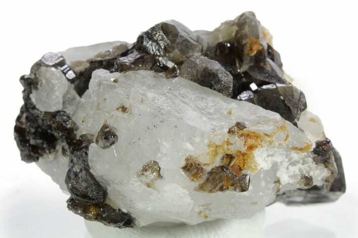 Gemmy Cassiterite Crystals with Quartz - China #347383